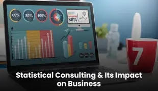 What does Statistical Consulting do and how does it affect the business?
