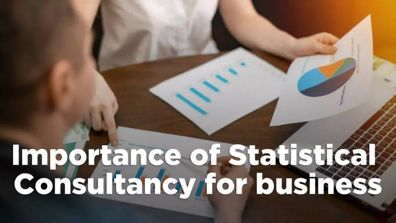 Importance of Statistical Consultancy for Business